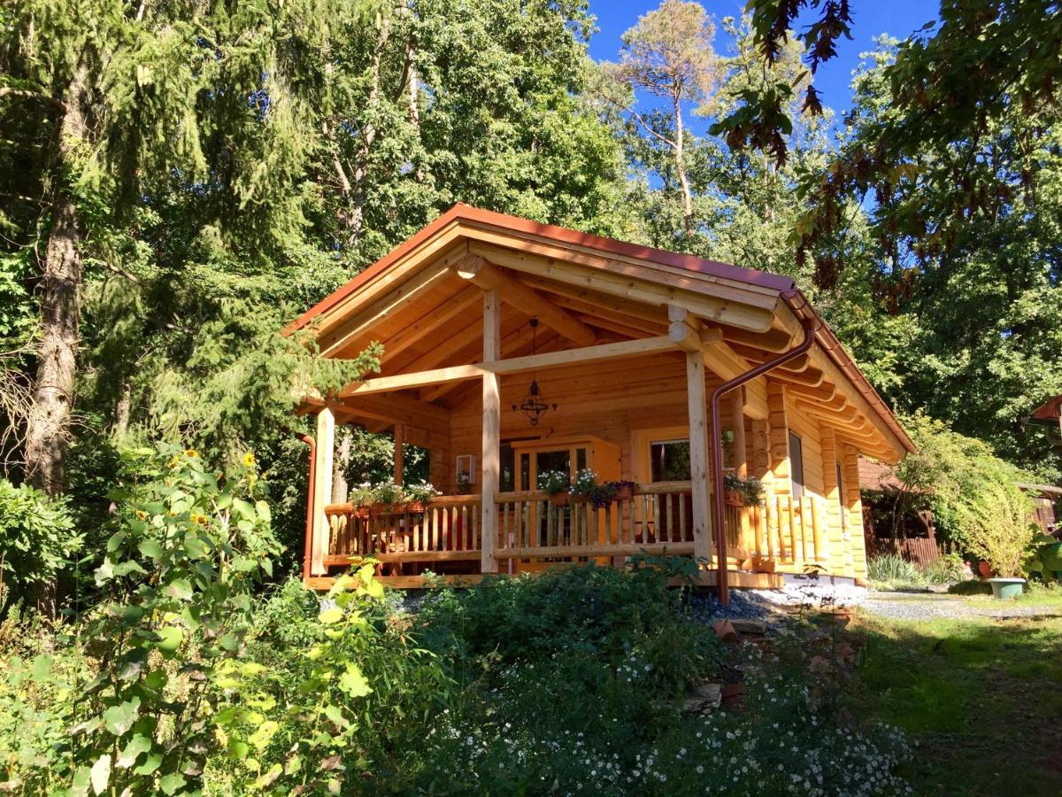 Blockhaus Chalet Mit Beheizbarem Badefass Und Infrarotsauna Auf Der Terrasse Oberschützen Exterior foto